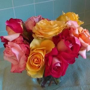 Meet your Posher, Marion